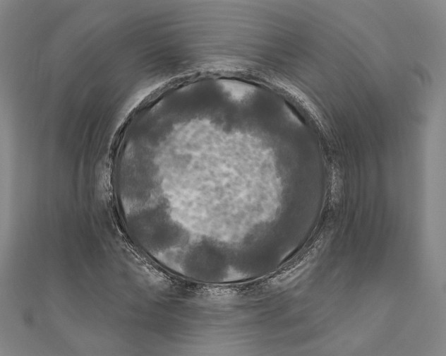 X0000111200878200907221127