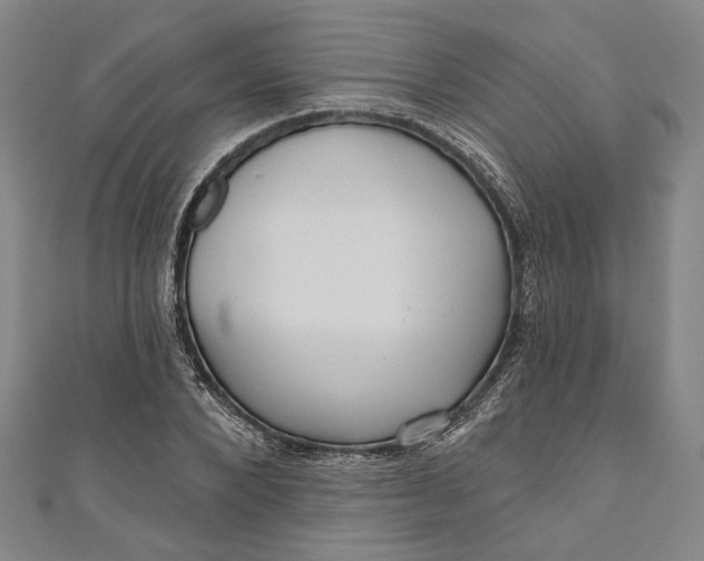 X0000111200880200907221127