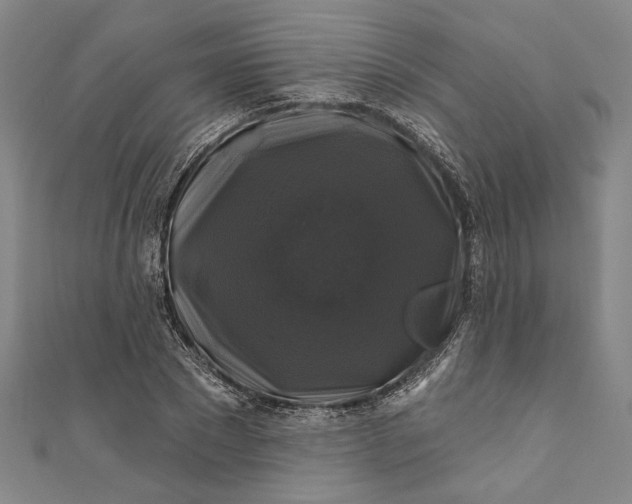 X0000111200881200907221127