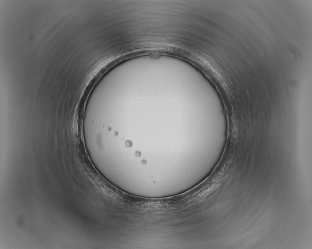 X0000111200883200907221127