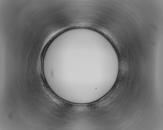 X0000111200886200907221127