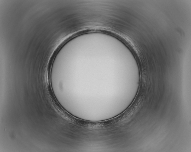 X0000111200887200907221127