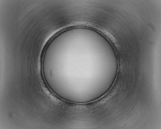 X0000111200888200907221127