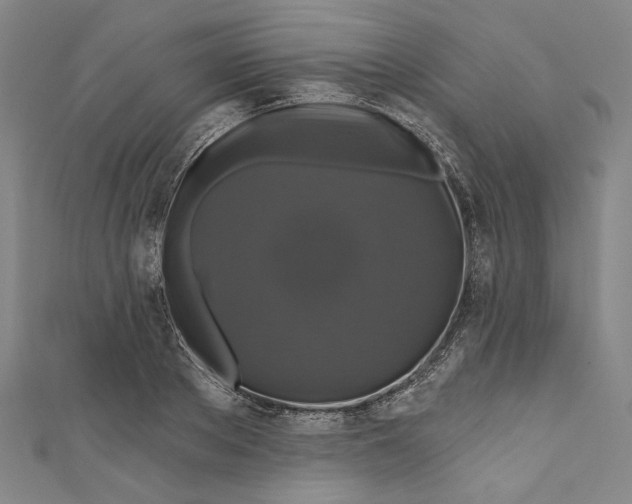 X0000111200889200907221127