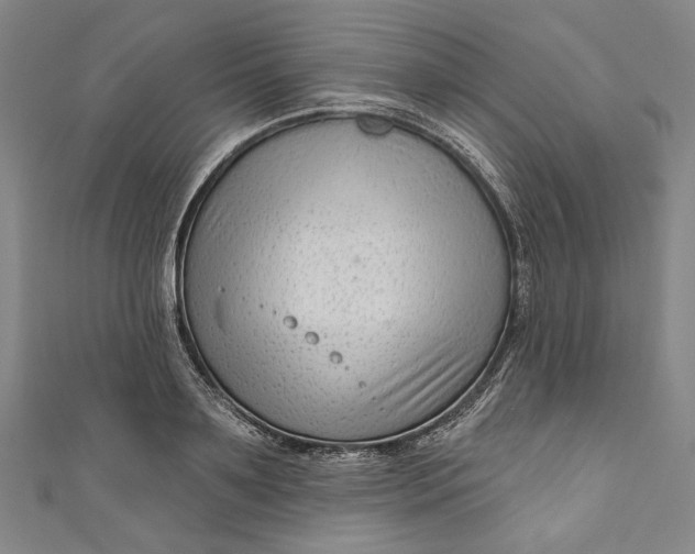 X0000111200891200907221127