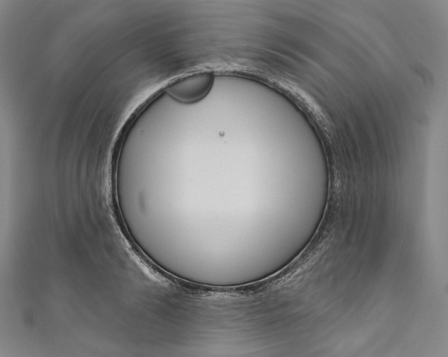 X0000111200894200907221127