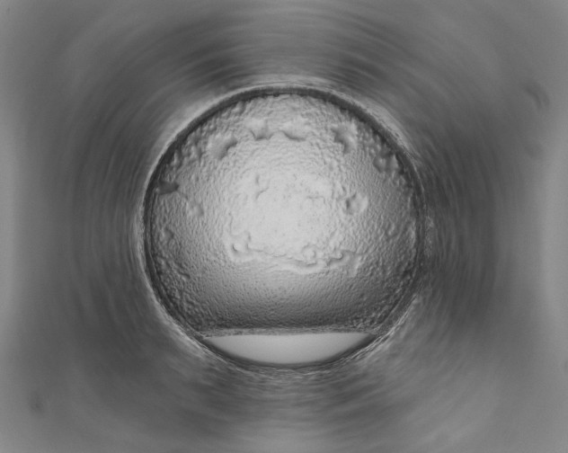 X0000111200895200907221127