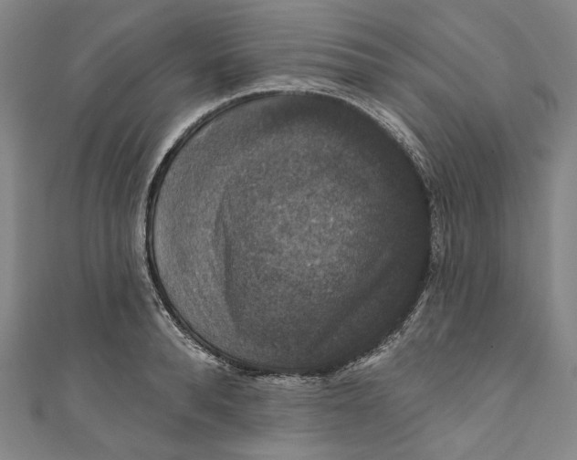 X0000111200896200907221127