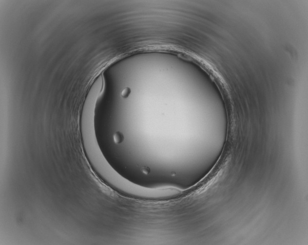 X0000111200897200907221127