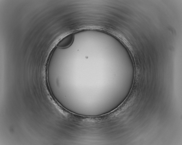 X0000111200898200907221127