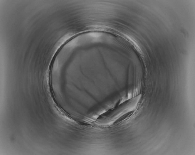 X0000111200899200907221127