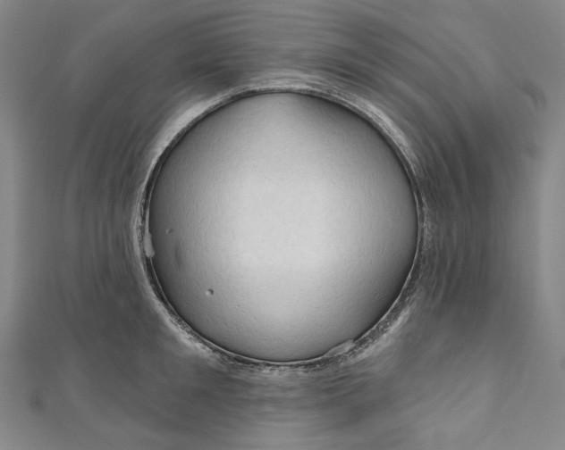 X0000111200901200907221127