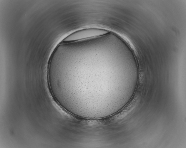 X0000111200903200907221127