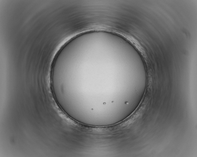 X0000111200904200907221127