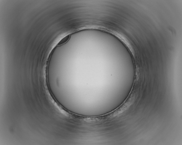 X0000111200906200907221127