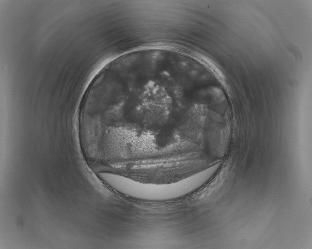 X0000111200907200907221127