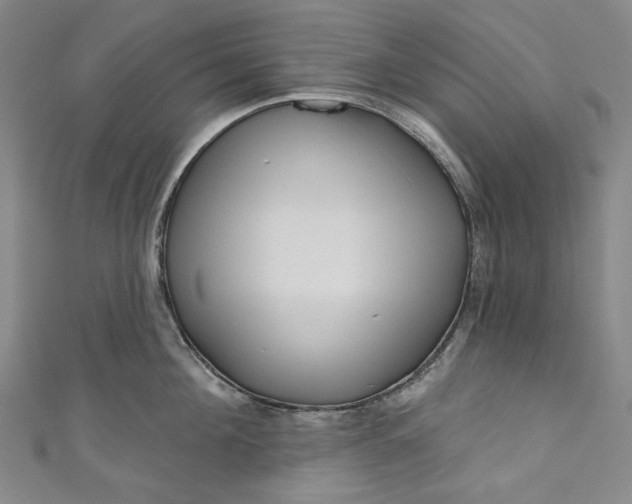 X0000111200908200907221127