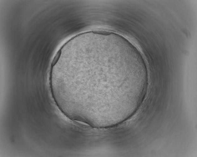 X0000111200912200907221127