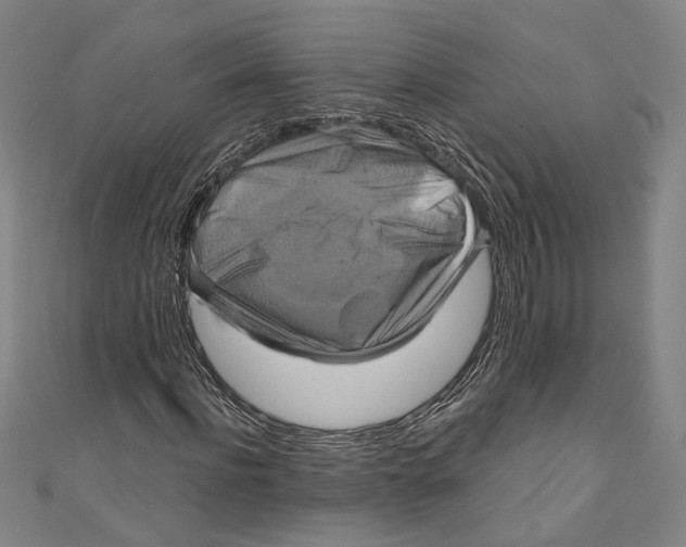 X0000111200916200907221126