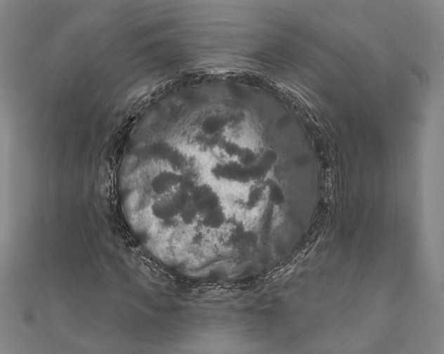 X0000111200917200907221126