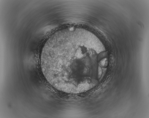 X0000111200918200907221126