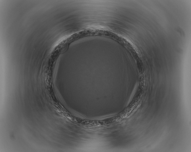 X0000111200919200907221126