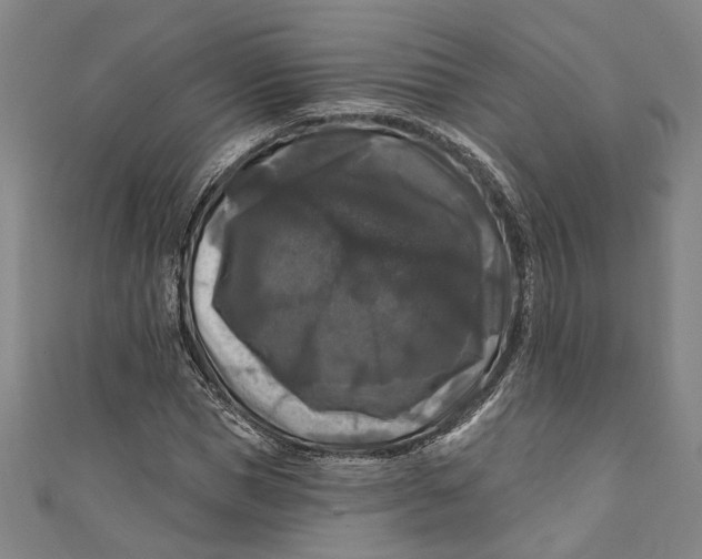 X0000111200921200907221127