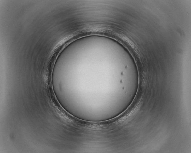 X0000111200922200907221127