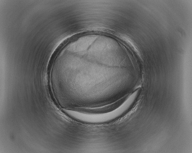 X0000111200924200907221127