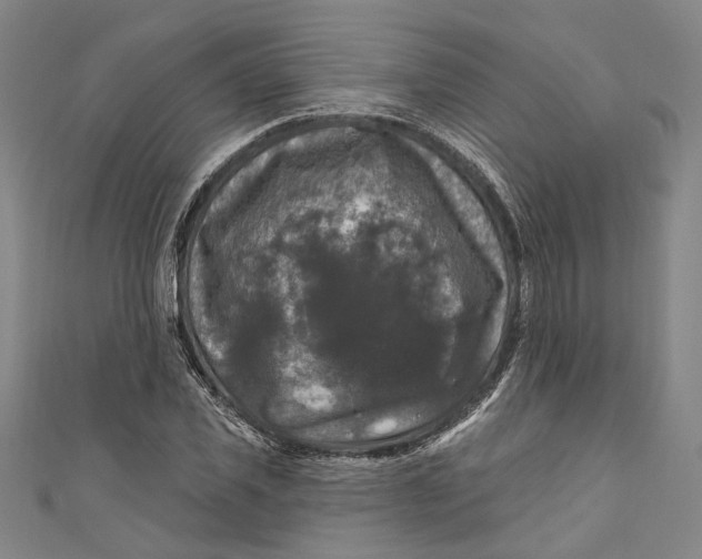 X0000111200925200907221127