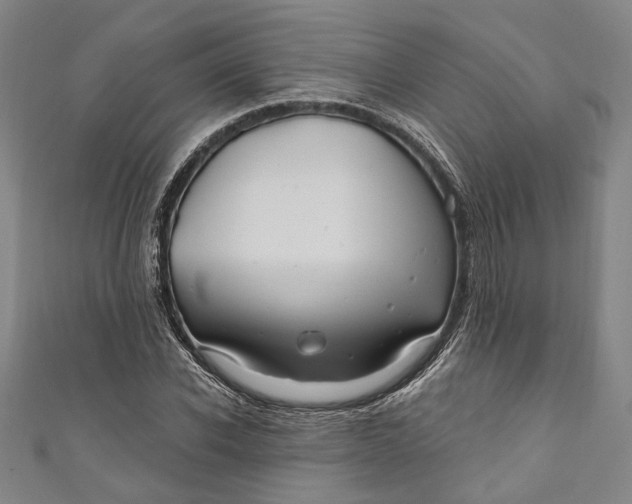 X0000111200926200907221127