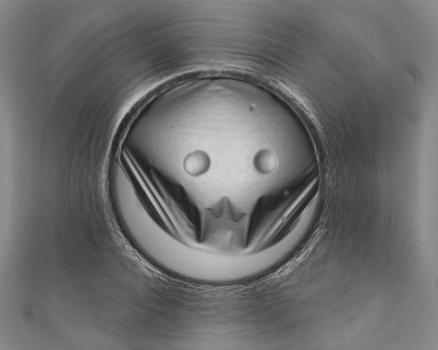 X0000111200928200907221127