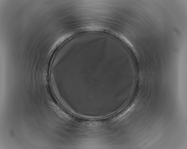 X0000111200930200907221127