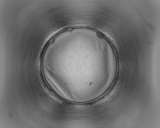 X0000111200933200907221127