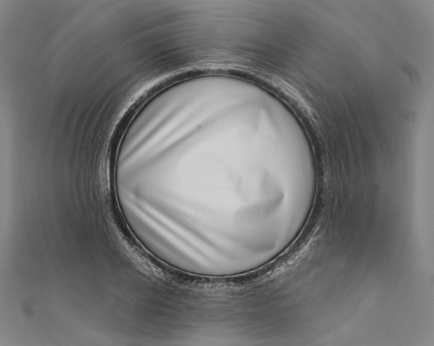 X0000111200934200907221127