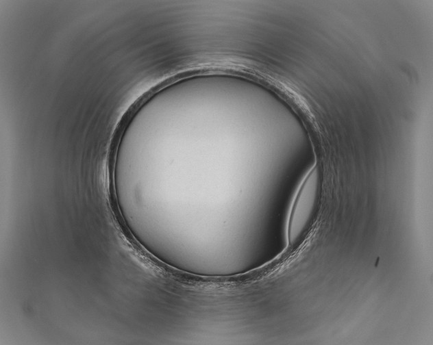 X0000111200936200907221127