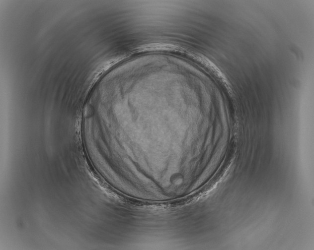 X0000111200937200907221127