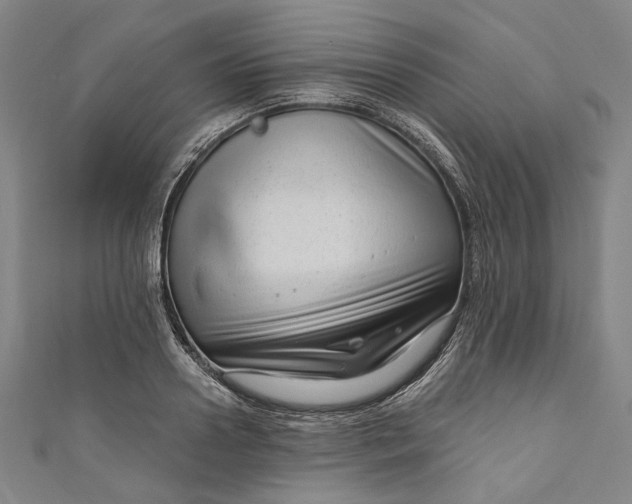 X0000111200938200907221127