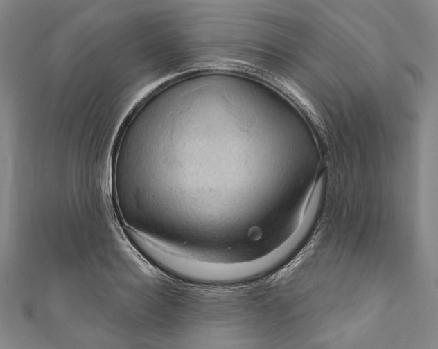 X0000111200940200907221127