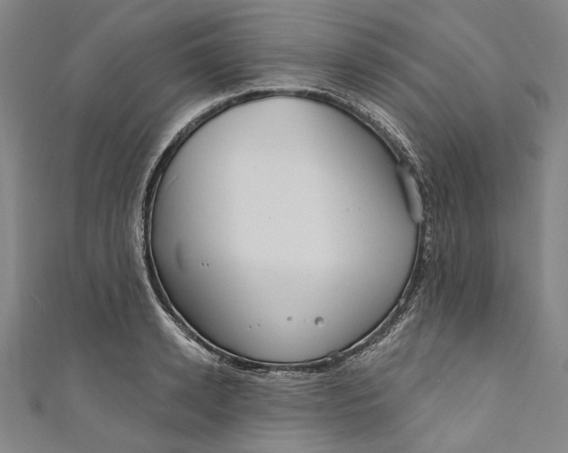 X0000111200942200907221127