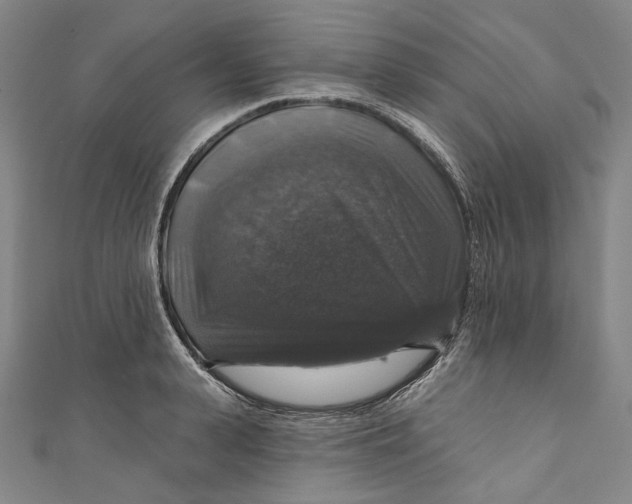 X0000111200943200907221127