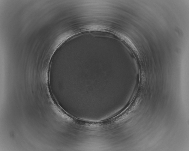 X0000111200946200907221127