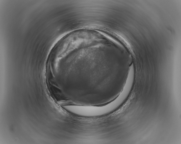 X0000111200948200907221127