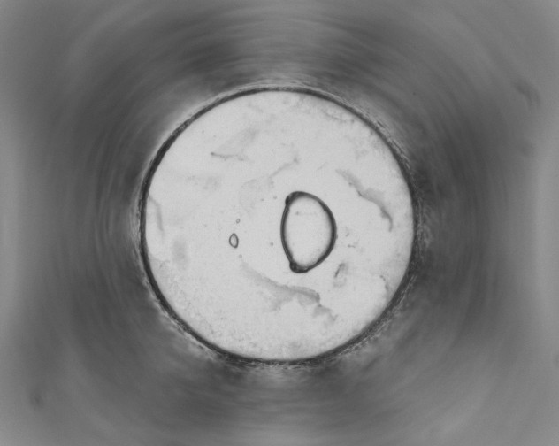 X0000111200950200907221127