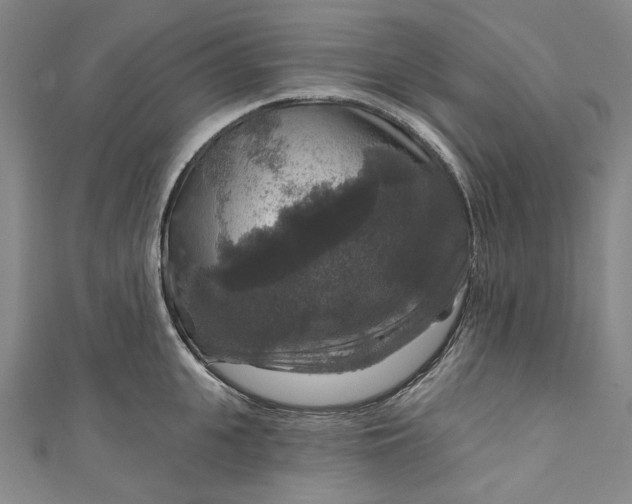 X0000111200951200907221127