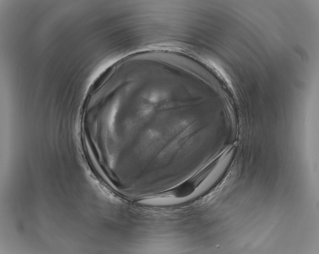 X0000111200952200907221127