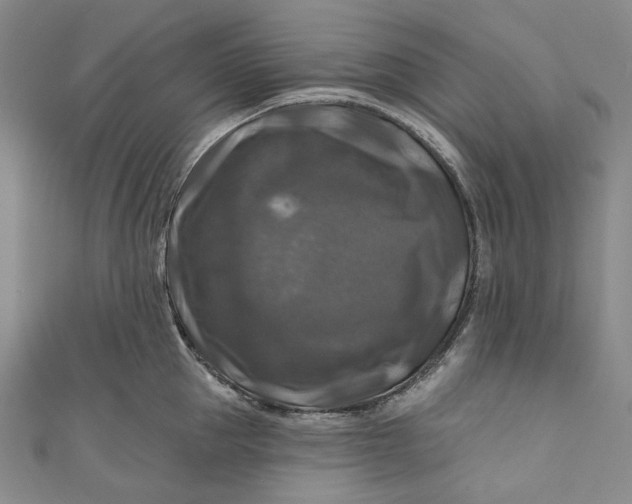 X0000111200953200907221127