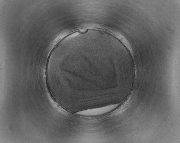 X0000111200954200907221127