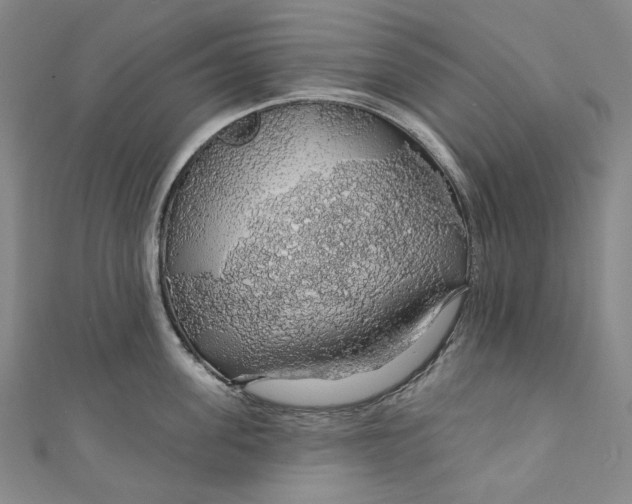 X0000111200955200907221127