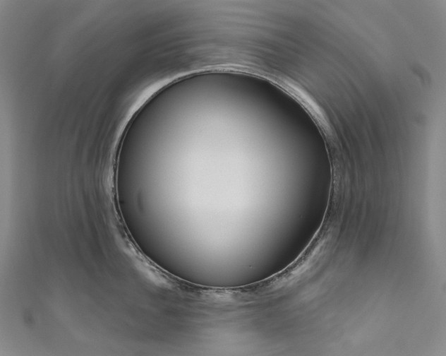 X0000111200956200907221127